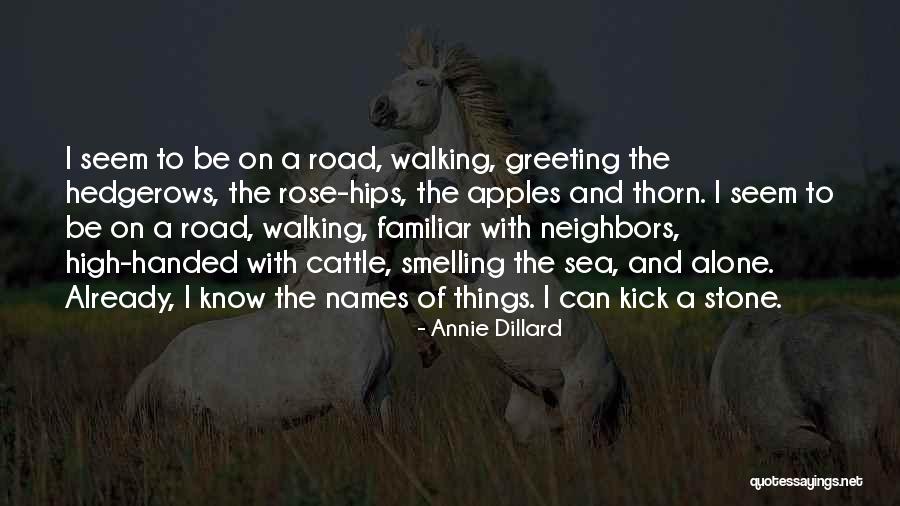 Spessert Quotes By Annie Dillard Spessert Quotes By Annie Dillard