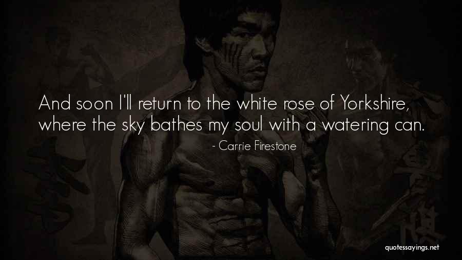 Sphere Book Quotes By Carrie Firestone Sphere Book Quotes By Carrie Firestone