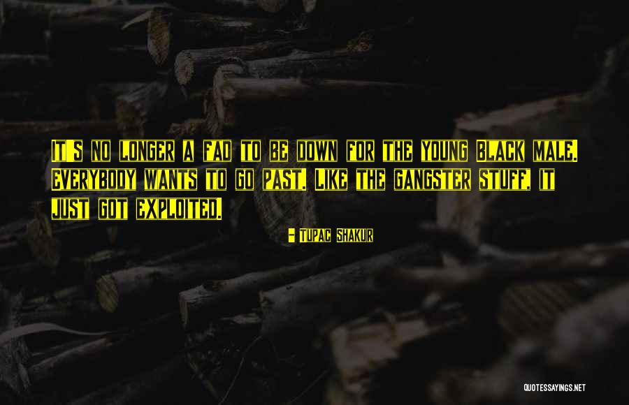 Spics Jewel Quotes By Tupac Shakur Spics Jewel Quotes By Tupac Shakur