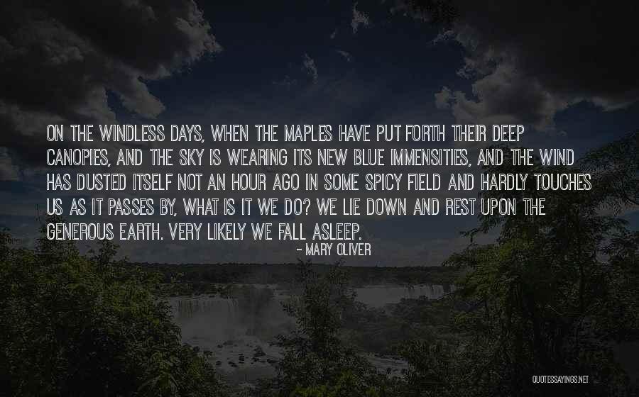 Spicy Quotes By Mary Oliver Spicy Quotes By Mary Oliver