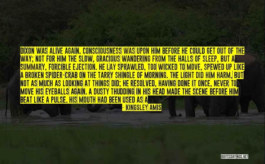 Spider Head Quotes By Kingsley Amis Spider Head Quotes By Kingsley Amis