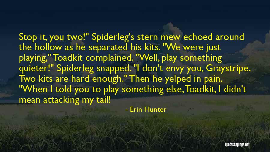 Spiderleg Quotes By Erin Hunter Spiderleg Quotes By Erin Hunter