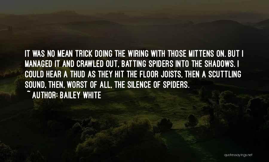 Spiders Quotes By Bailey White