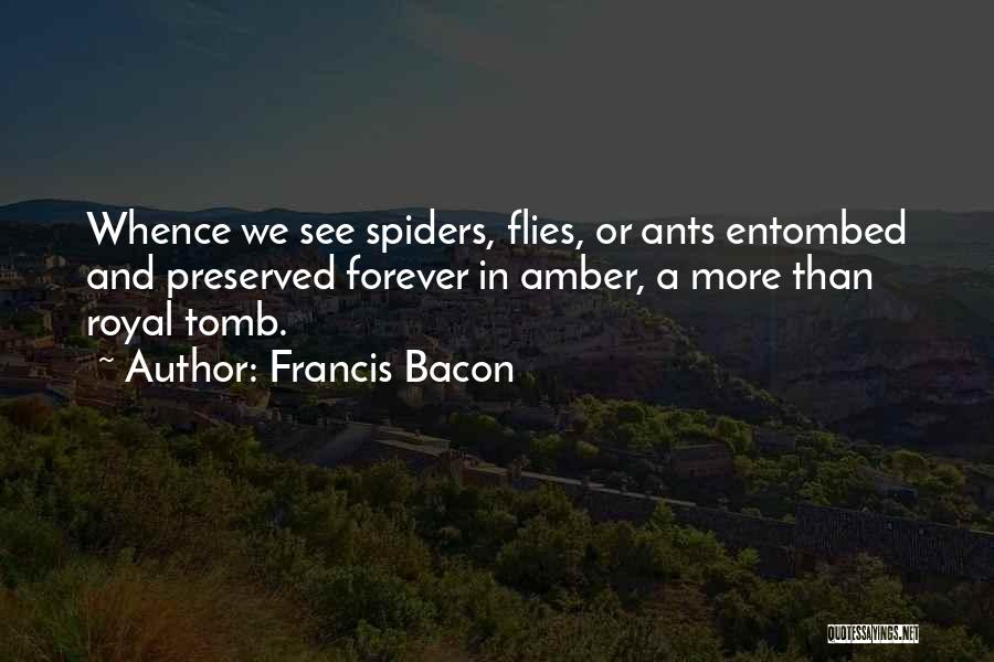 Spiders Quotes By Francis Bacon
