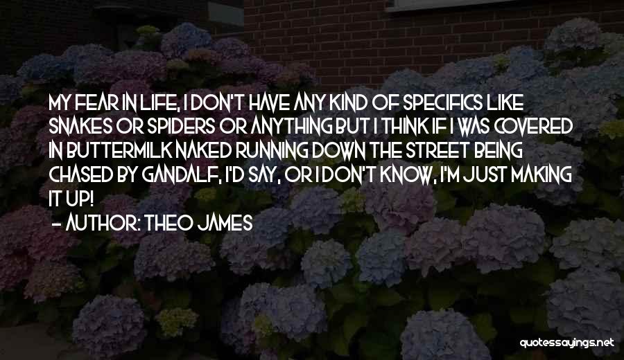 Spiders Quotes By Theo James