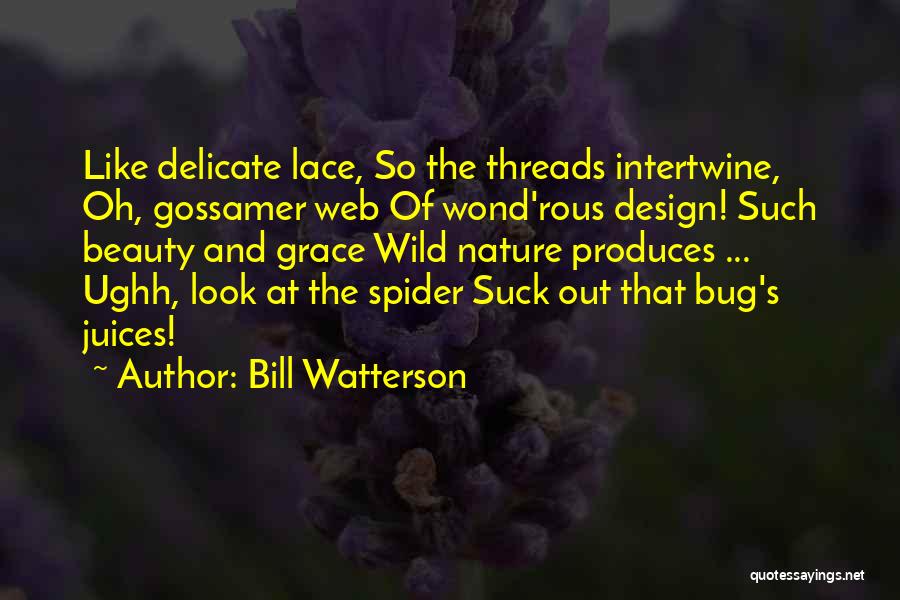 Spider's Web Quotes By Bill Watterson