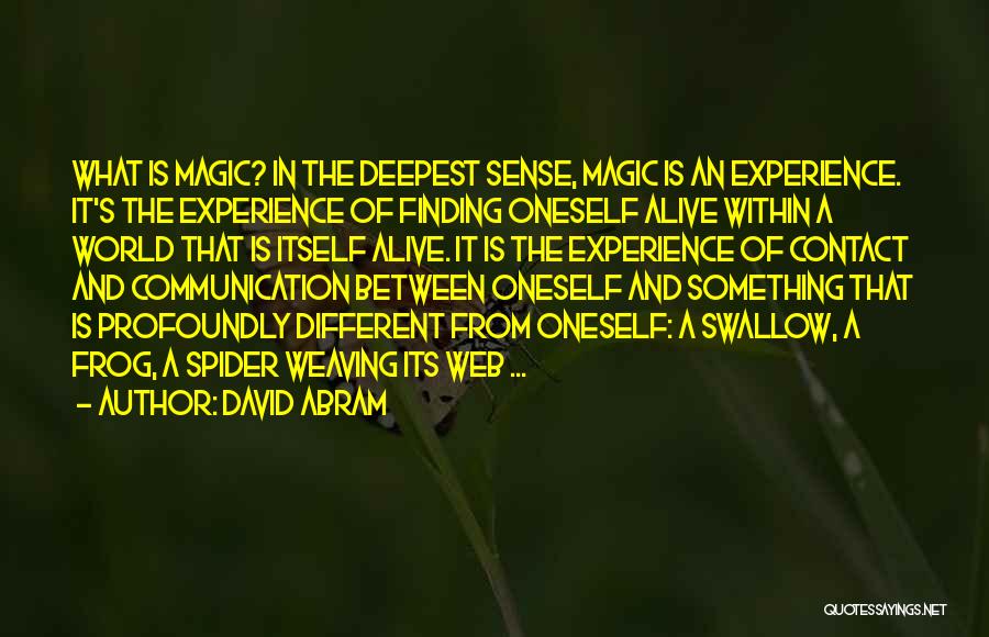 Spider's Web Quotes By David Abram
