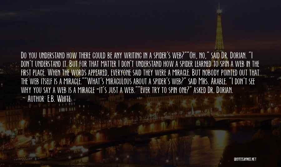 Spider's Web Quotes By E.B. White