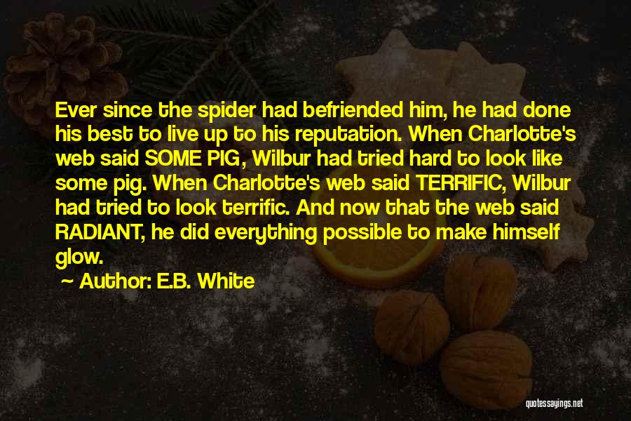 Spider's Web Quotes By E.B. White