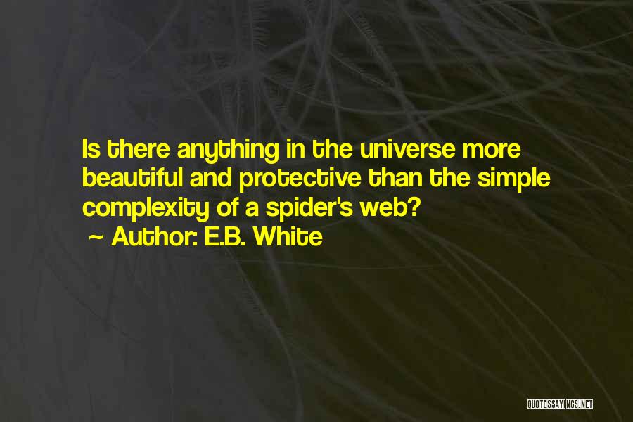 Spider's Web Quotes By E.B. White