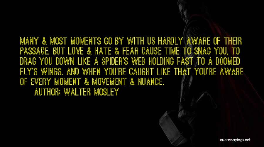 Spider's Web Quotes By Walter Mosley