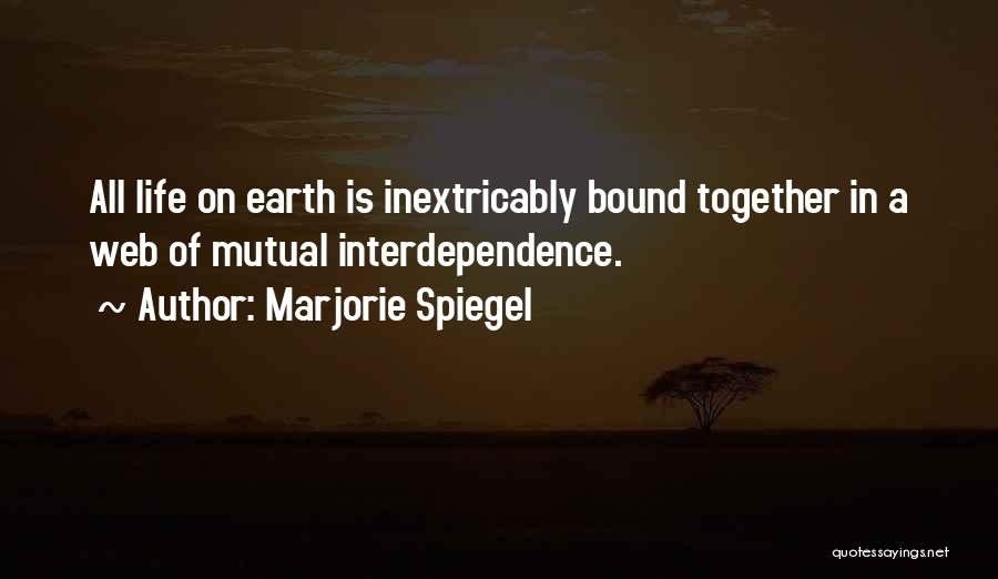 Spiegel Quotes By Marjorie Spiegel