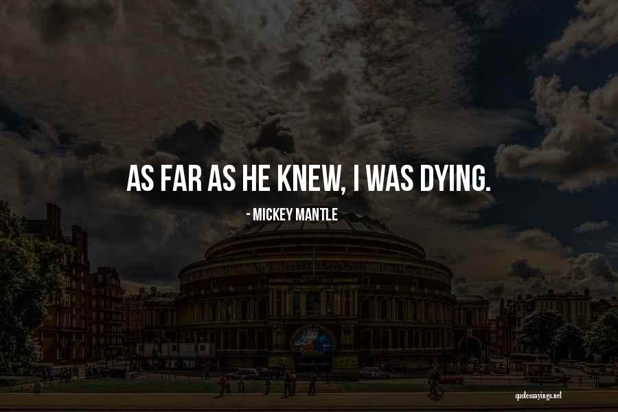 Spiegelau Quotes By Mickey Mantle Spiegelau Quotes By Mickey Mantle