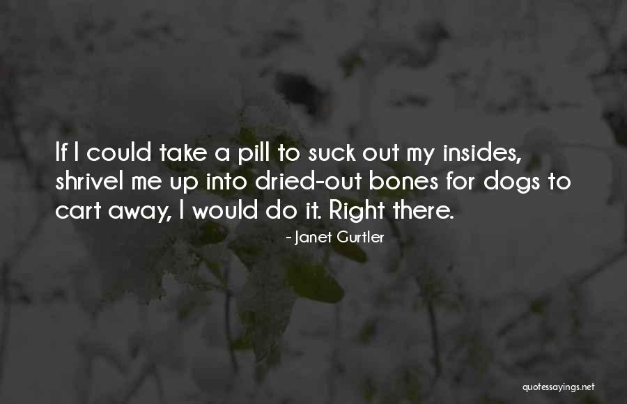 Spiegelburg Pole Quotes By Janet Gurtler Spiegelburg Pole Quotes By Janet Gurtler