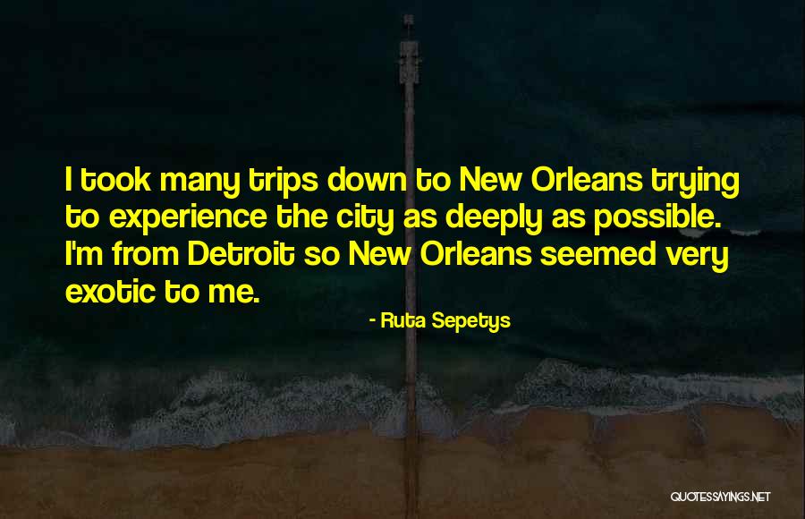 Spiegelman Graphic Novel Quotes By Ruta Sepetys Spiegelman Graphic Novel Quotes By Ruta Sepetys