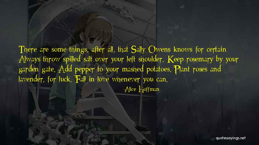 Spilled Salt Quotes By Alice Hoffman Spilled Salt Quotes By Alice Hoffman