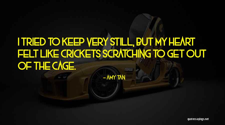 Spinacino Quotes By Amy Tan Spinacino Quotes By Amy Tan