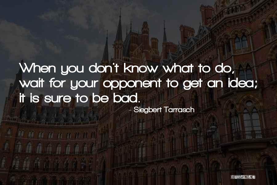 Spinardi Ferramenta Quotes By Siegbert Tarrasch Spinardi Ferramenta Quotes By Siegbert Tarrasch