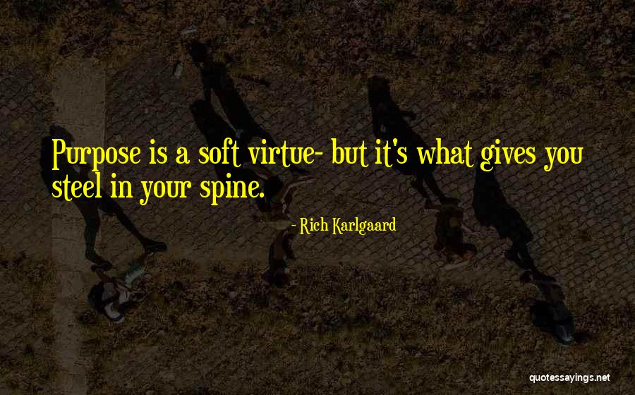 Spine Of Steel Quotes By Rich Karlgaard