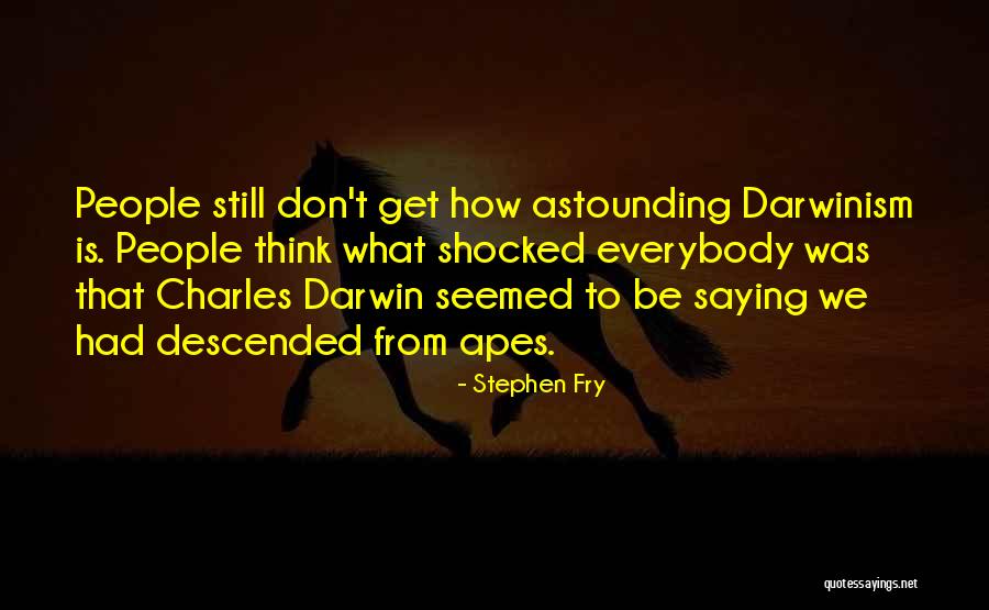 Spinetta Youtube Quotes By Stephen Fry Spinetta Youtube Quotes By Stephen Fry