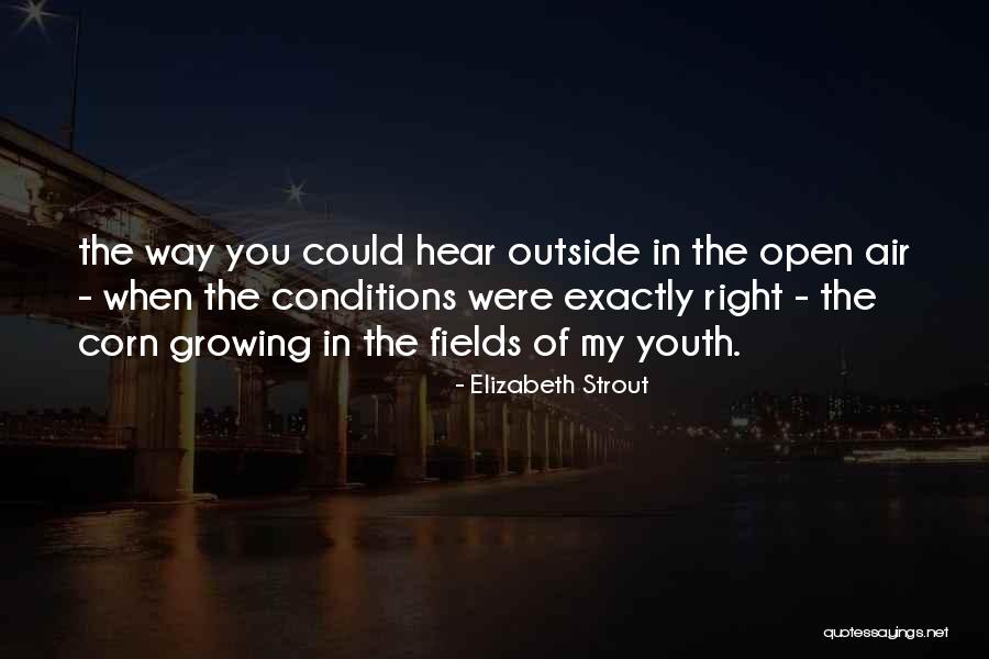 Spinned Quotes By Elizabeth Strout Spinned Quotes By Elizabeth Strout