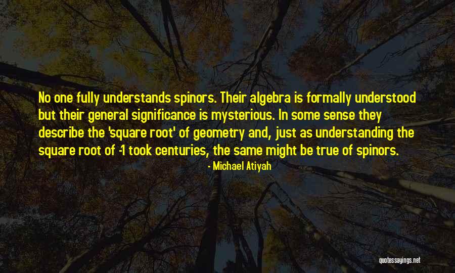 Spinors Quotes By Michael Atiyah Spinors Quotes By Michael Atiyah