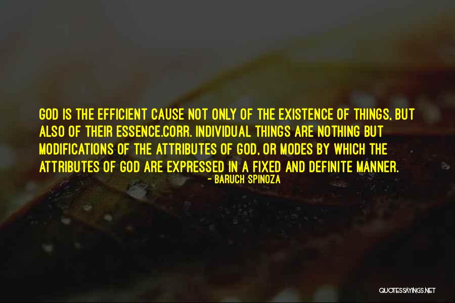 Spinoza Quotes By Baruch Spinoza