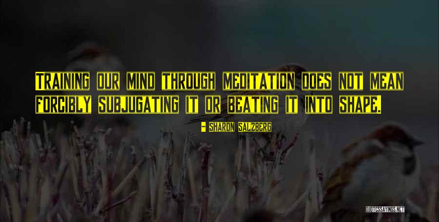 Spinwell Quotes By Sharon Salzberg Spinwell Quotes By Sharon Salzberg