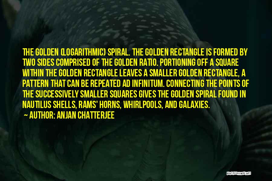 Spiral Quotes By Anjan Chatterjee