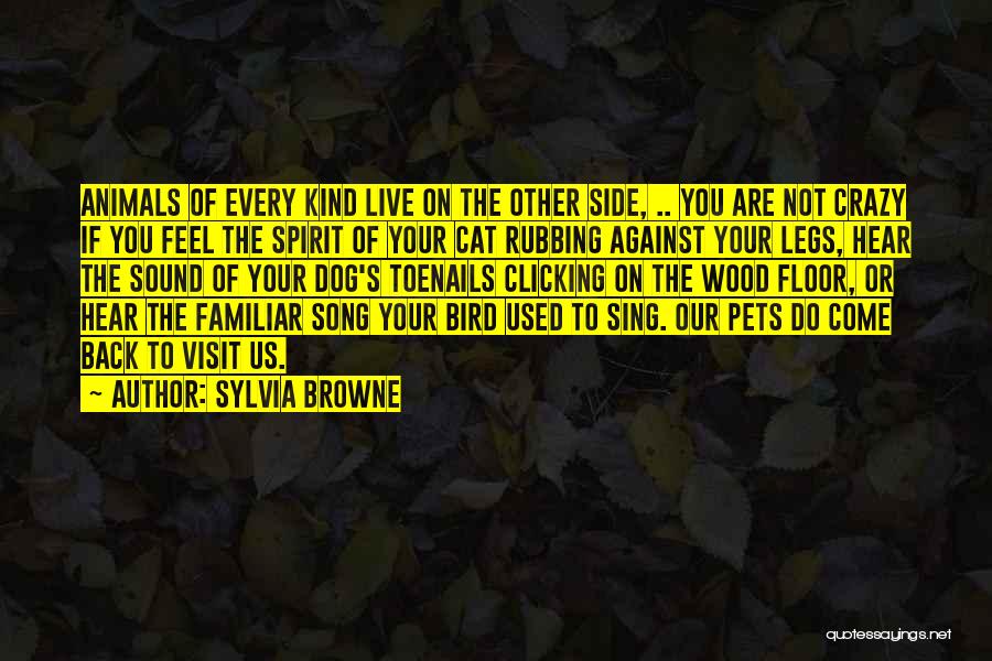 Spirit Animals Quotes By Sylvia Browne