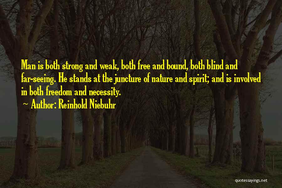 Spirit Bound Quotes By Reinhold Niebuhr