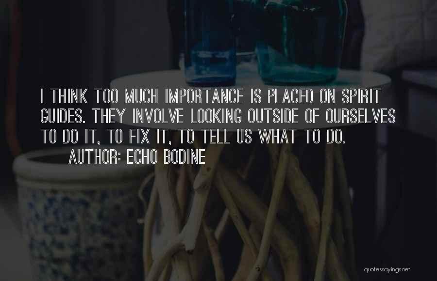 Spirit Guides Quotes By Echo Bodine