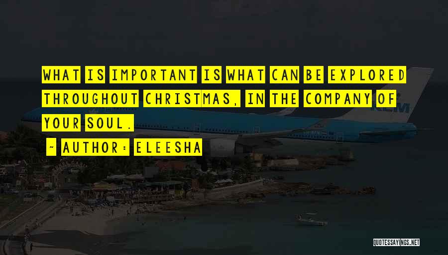 Spirit Of Christmas Quotes By Eleesha