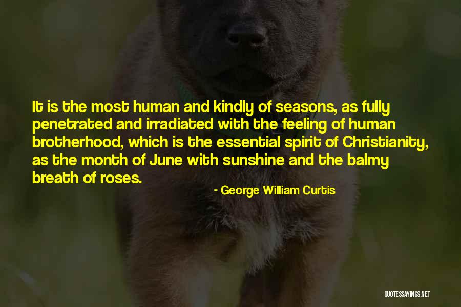 Spirit Of Christmas Quotes By George William Curtis