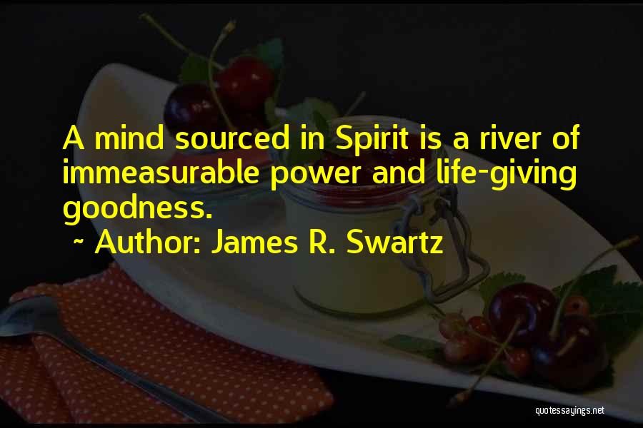 Spirit Of Giving Quotes By James R. Swartz