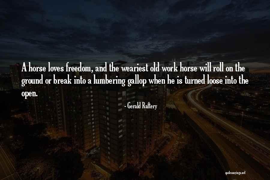 Spirit Of Horses Quotes By Gerald Raftery Spirit Of Horses Quotes By Gerald Raftery