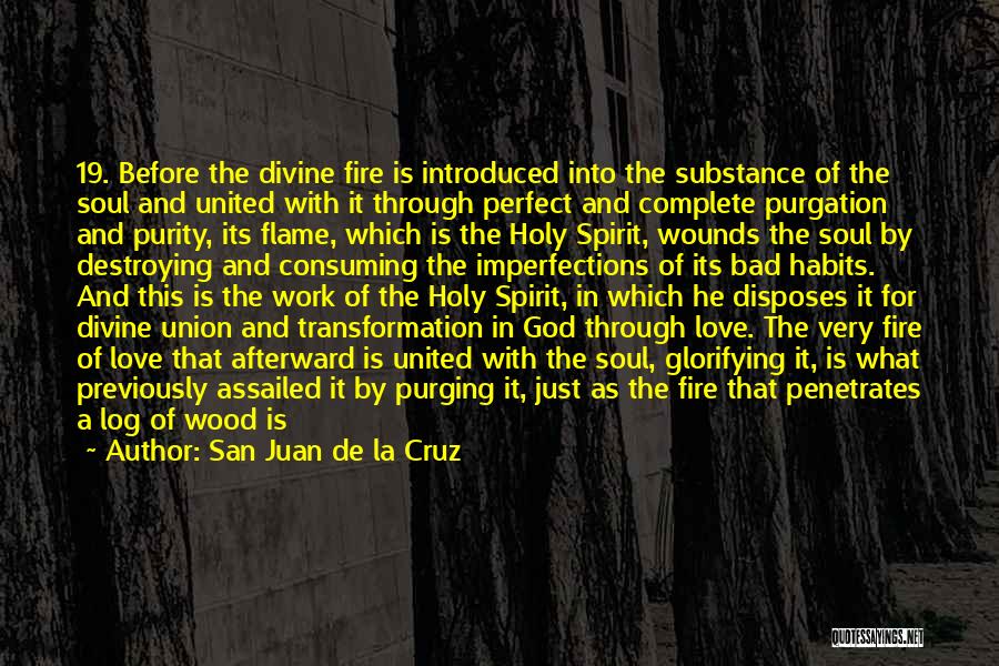 Spirit Of Love Quotes By San Juan De La Cruz