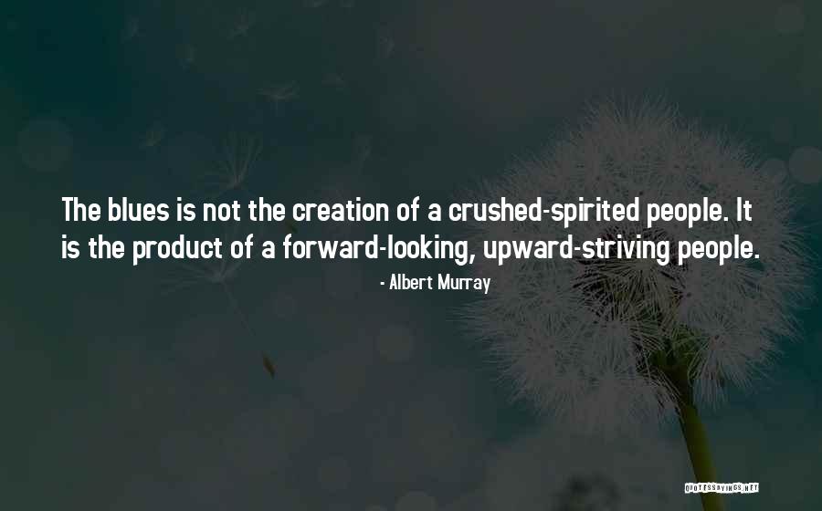 Spirited People Quotes By Albert Murray