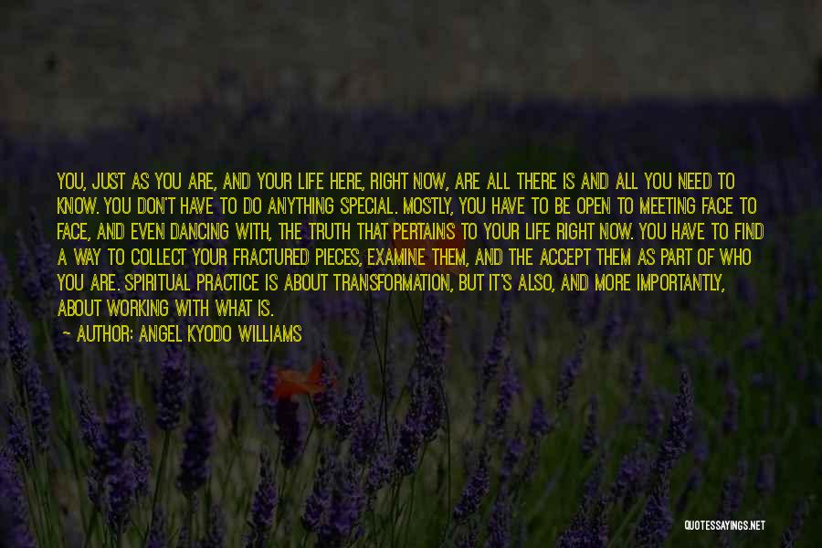 Spiritual Angel Quotes By Angel Kyodo Williams