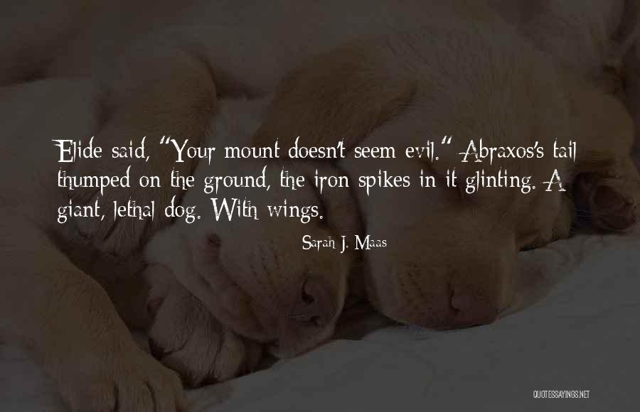 Spiritual Connection With Nature Quotes By Sarah J. Maas Spiritual Connection With Nature Quotes By Sarah J. Maas