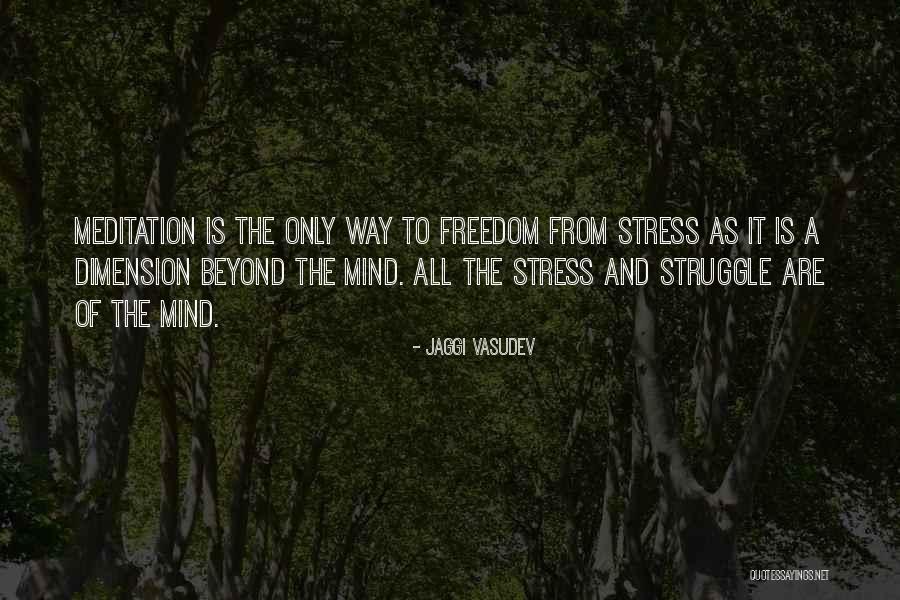 Spiritual Dimension Quotes By Jaggi Vasudev Spiritual Dimension Quotes By Jaggi Vasudev