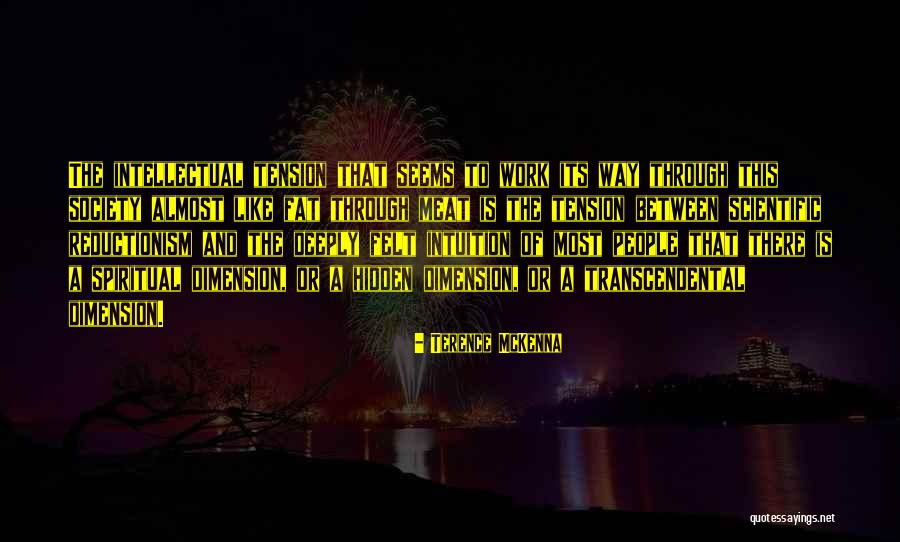 Spiritual Dimension Quotes By Terence McKenna Spiritual Dimension Quotes By Terence McKenna