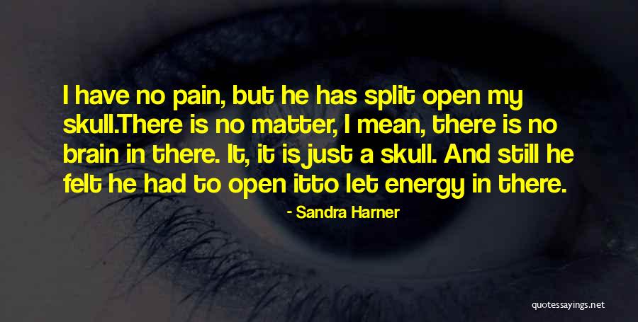 Spiritual Energy Healing Quotes By Sandra Harner