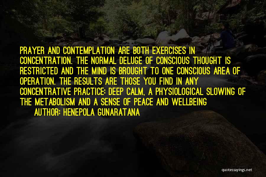 Spiritual Exercises Quotes By Henepola Gunaratana