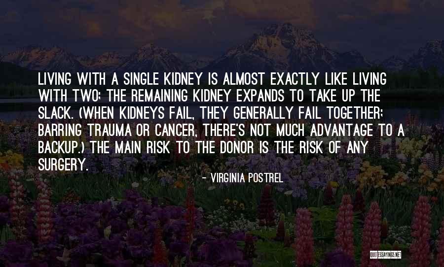 Spiritual Heartbreak Quotes By Virginia Postrel Spiritual Heartbreak Quotes By Virginia Postrel