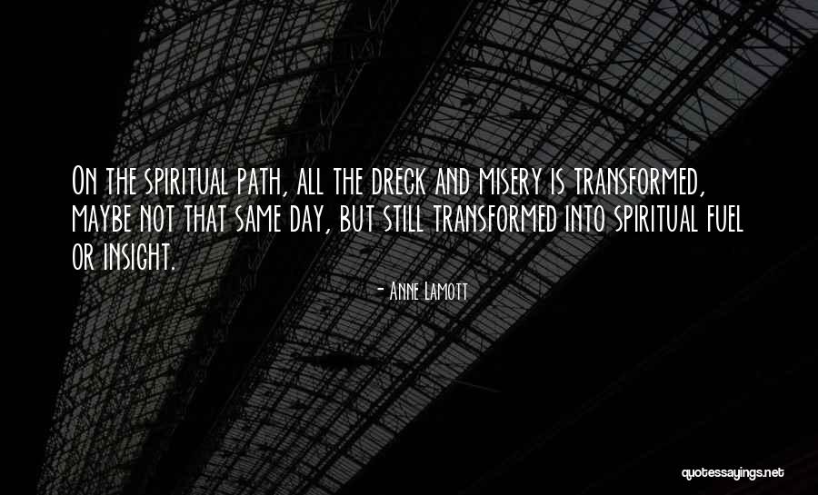 Spiritual Insight Quotes By Anne Lamott