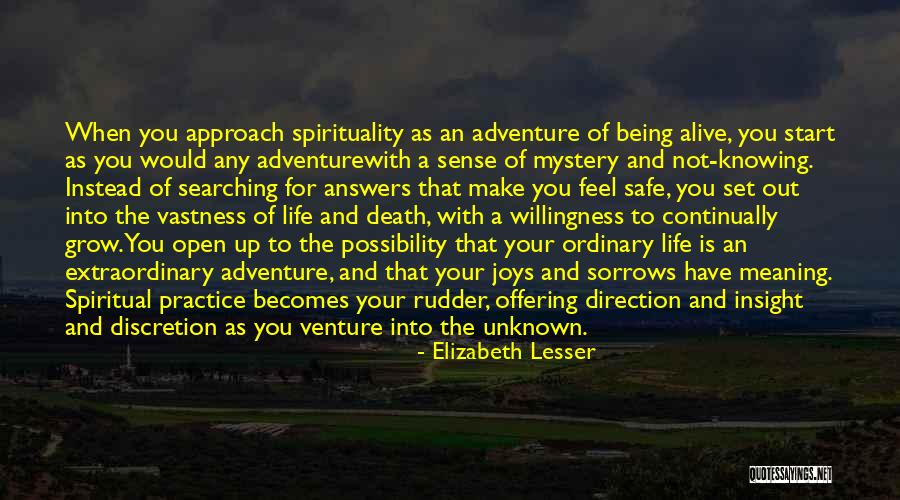 Spiritual Insight Quotes By Elizabeth Lesser