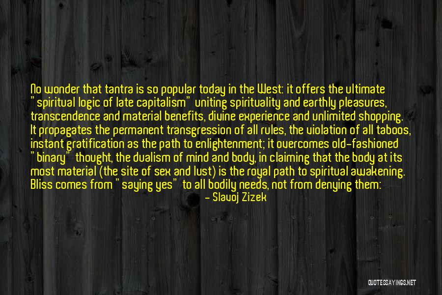 Spiritual Insight Quotes By Slavoj Zizek Spiritual Insight Quotes By Slavoj Zizek