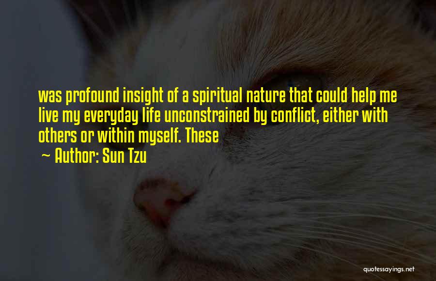 Spiritual Insight Quotes By Sun Tzu