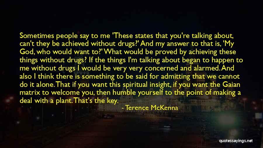 Spiritual Insight Quotes By Terence McKenna